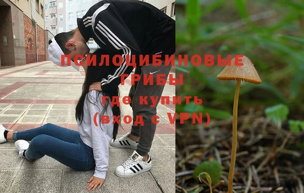 а пвп мука Алзамай