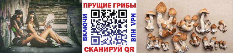 Галлюциногенные грибы GOLDEN TEACHER  гидра tor  Мичуринск 